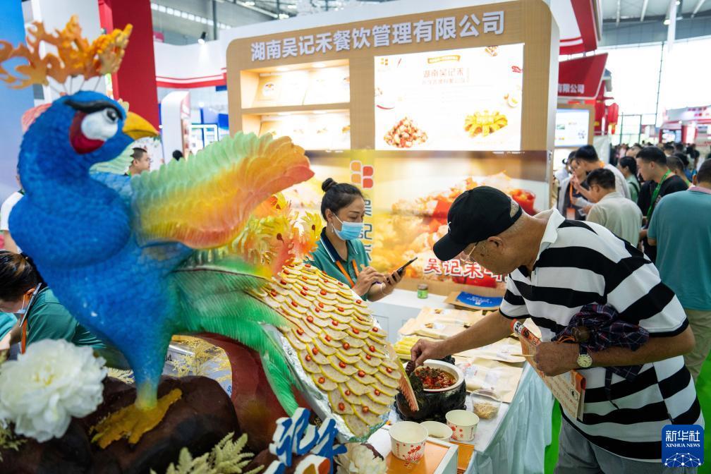 体验金白菜网